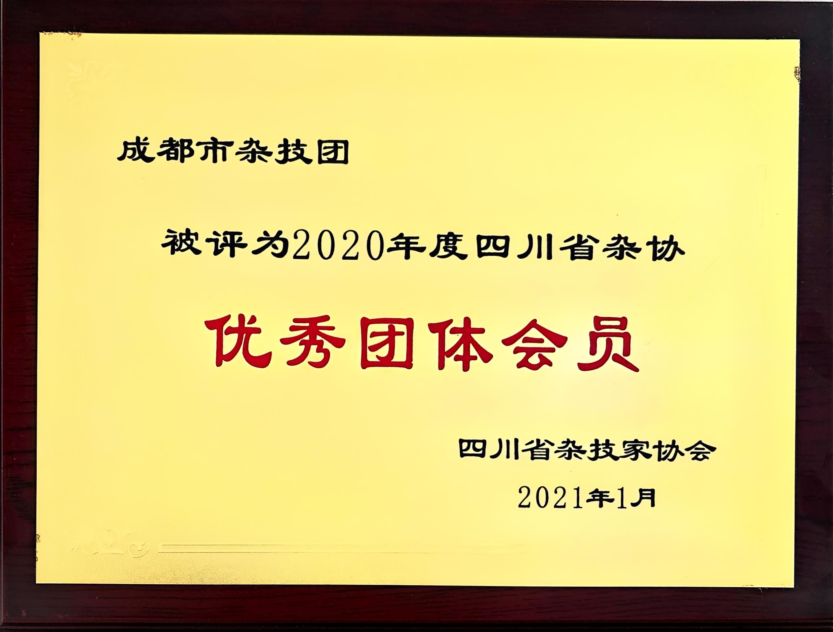 2020年成都艺术剧院杂技团荣获四川省杂协年度优秀团体会员授牌.jpg